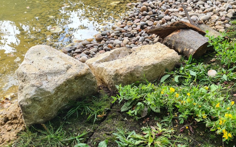 A shallow beach area at the end of the pond