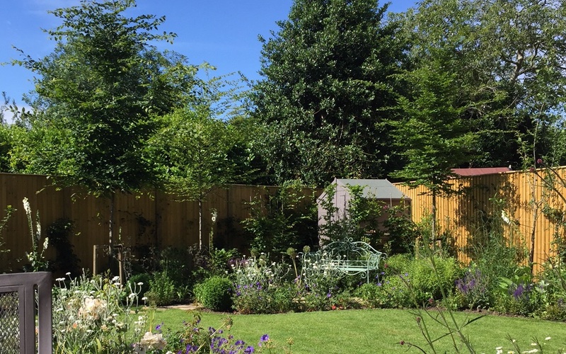 Completed garden in Hampton, Surrey, designed by Pam Johnson