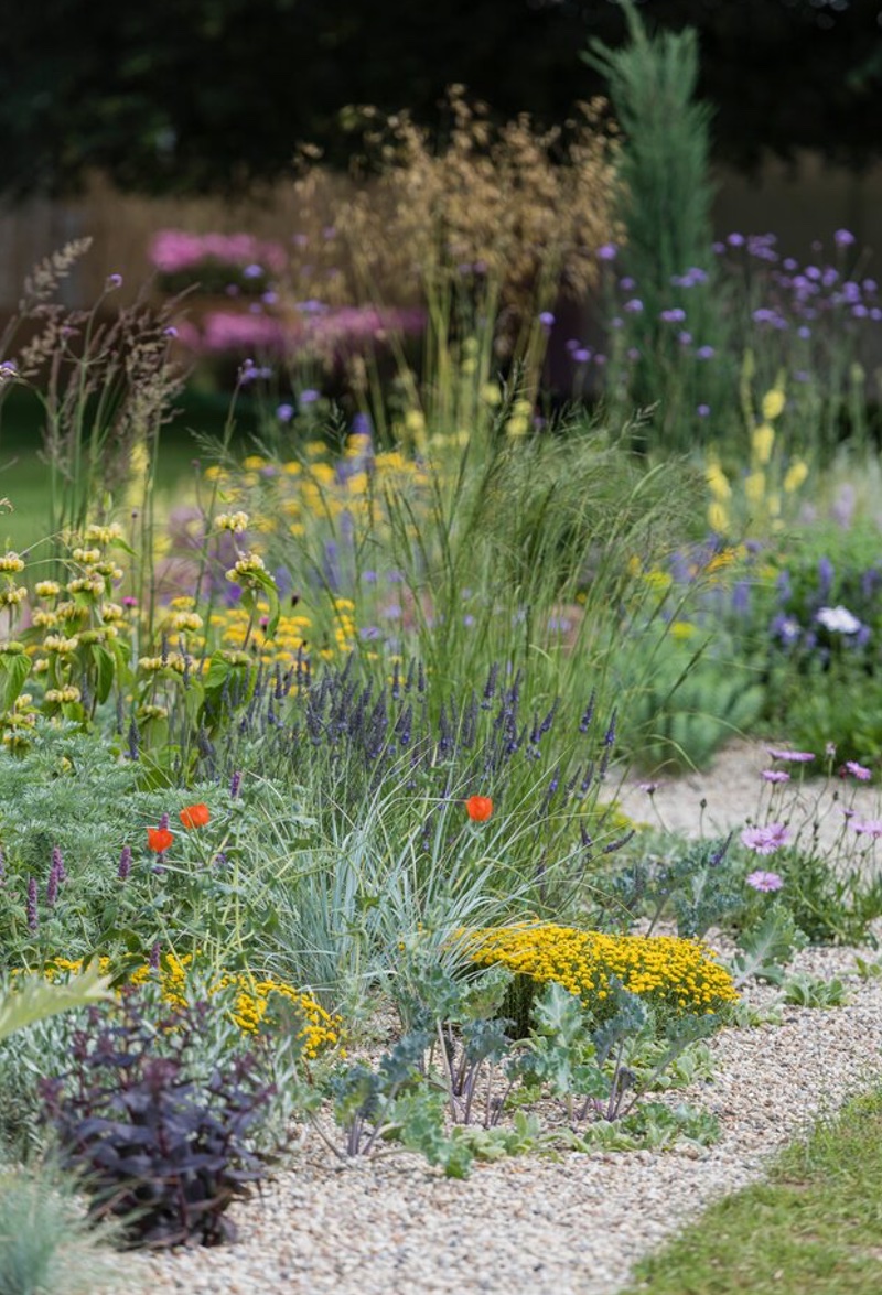 The Drought Tolerant Garden, Designed by David Ward.