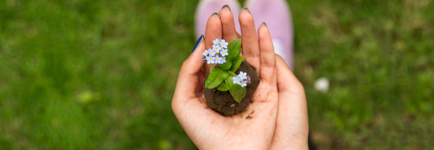 Gardening Gets A Youth Takeover