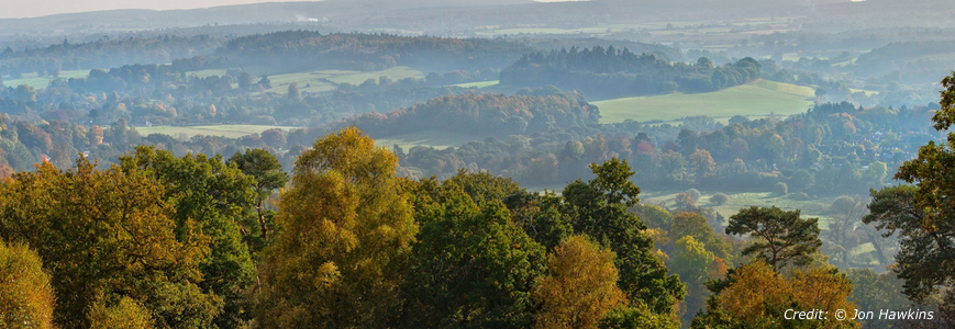 North Downs, Surrey 