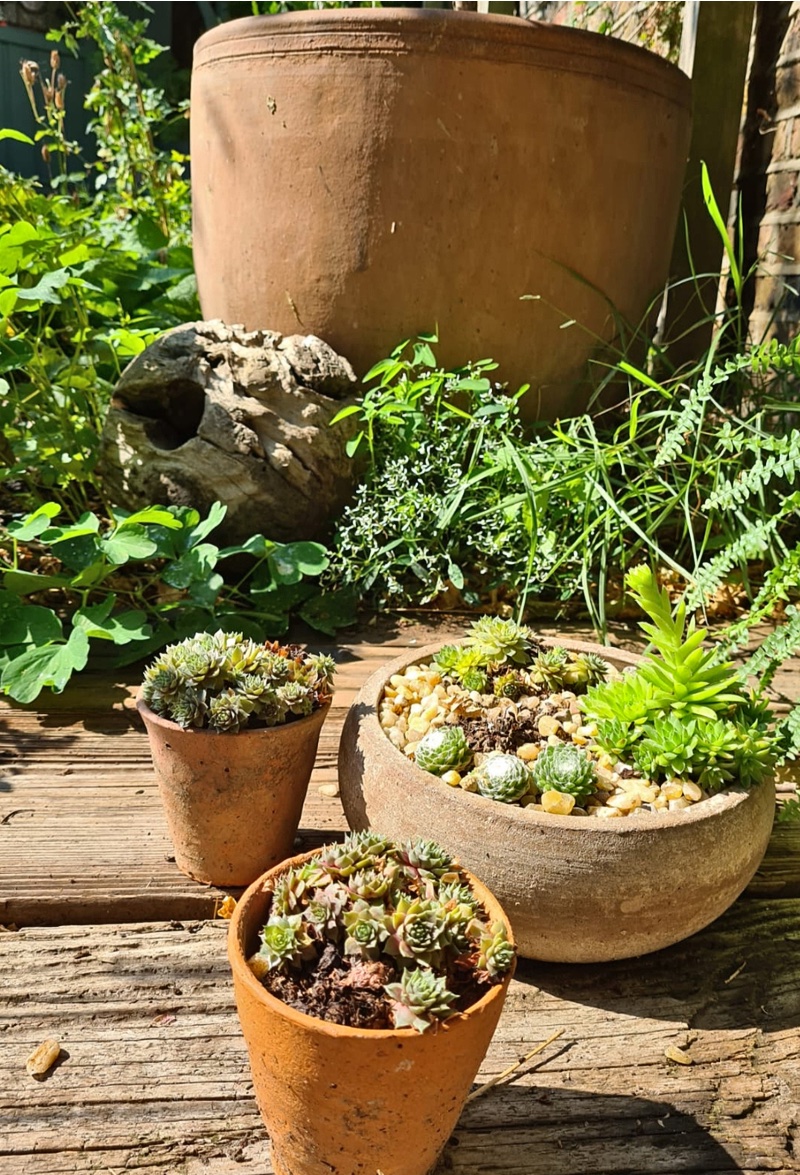 Recycled Garden Pots And Planters