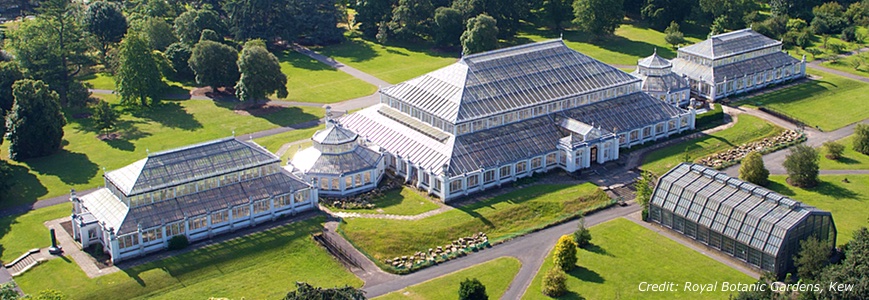 temperate-house-at-kew-gardens