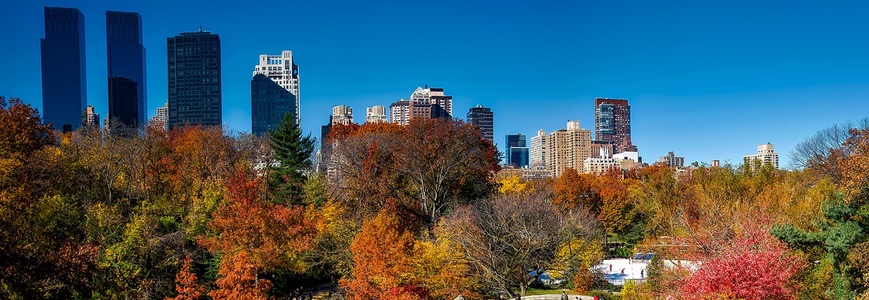 Urban Forests