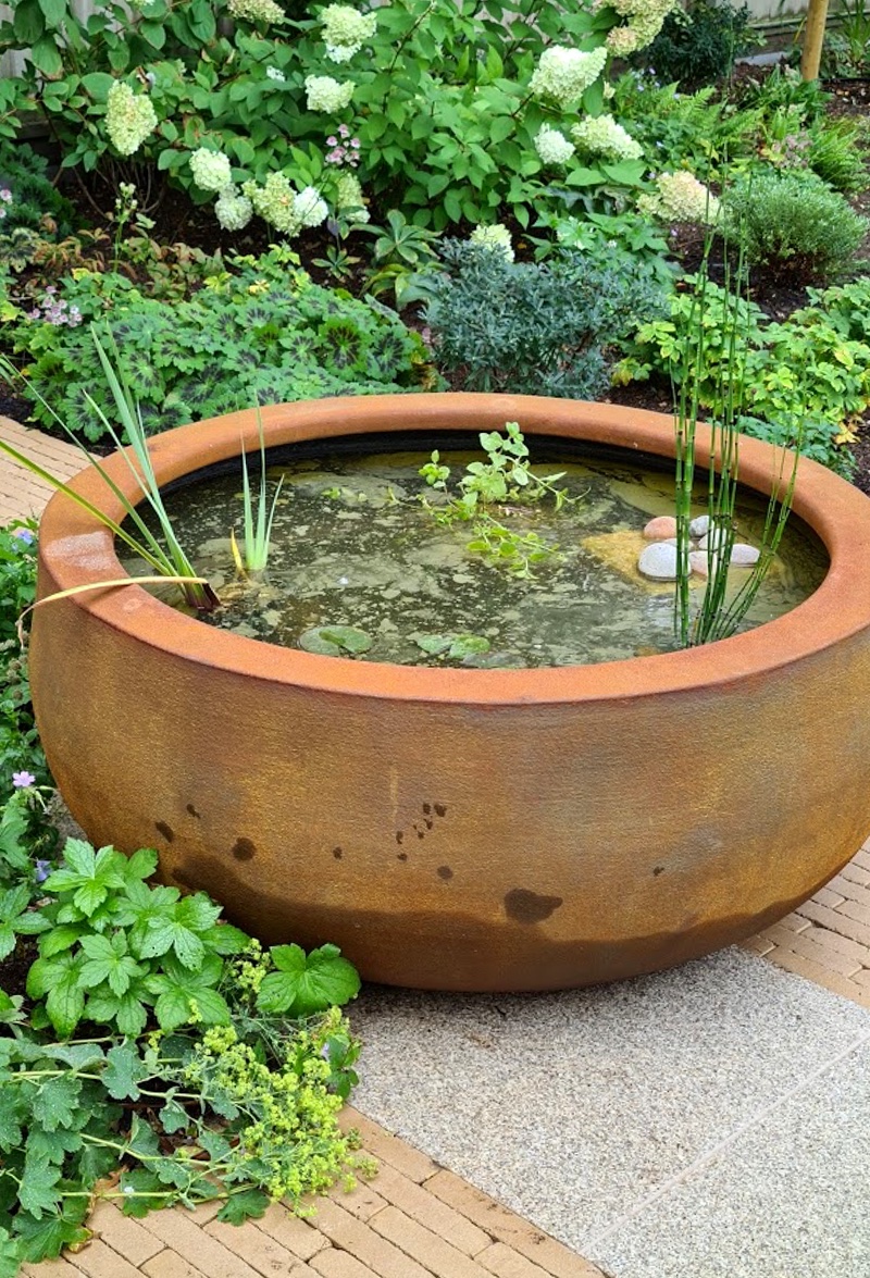 Water Feature And Plants By Landscaping Solutions